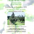 Con il corso di potatura base delle piante da frutto, in programma per Domenica 4 Dicembre 2011 presso il Vivaio Forestale Scodogna, proseguono i corsi autunnali sulla gestione del verde organizzati dal Parco Regionale Boschi […]