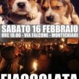 Sabato 16 Febbraio, alle ore 18.00, si terrà una fiaccolata a Montichiari (in via Falcone) per protestare contro gli eventi processuali che riguardano Green Hill e gli oltre 2.700 cani coinvolti.